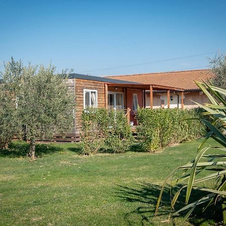 Agriturismo Tre Colline Bardolino Eksteriør billede